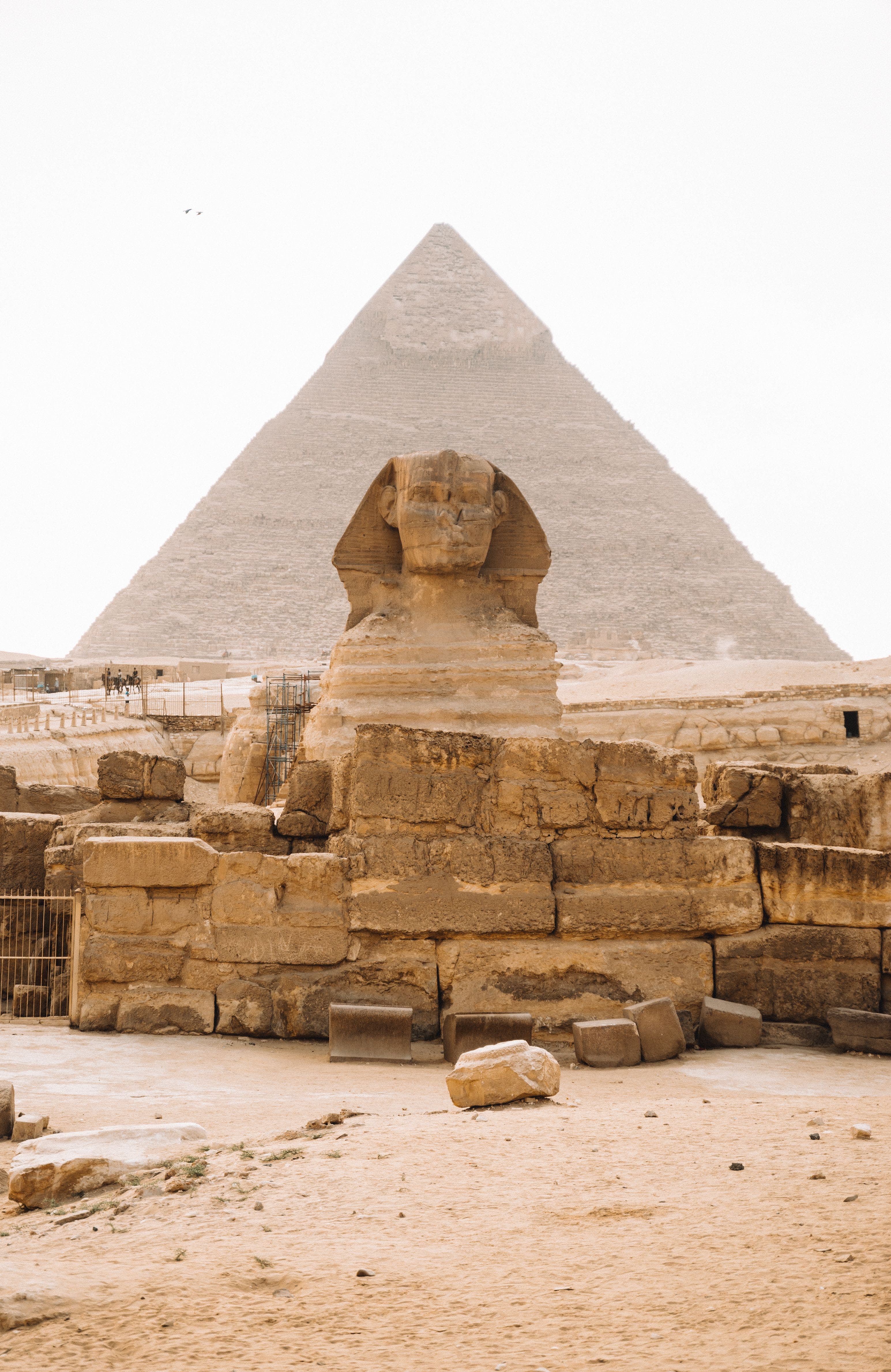 Tourism in Egypt: From Recovery to a Strategic Engine of Economic Growth